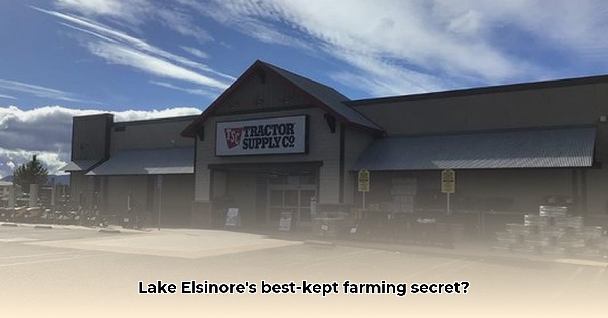 lake-elsinore-tractor-supply